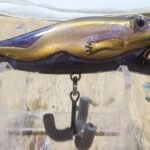 Black gold purple hase frog popper #6