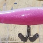 Pink and white dog x jr #14