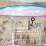 Hologram jerkbait #24