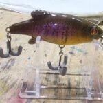 Shallow adult gill #37