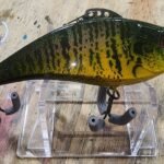 Adult gill lipless #60