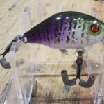 Baby gill small square bill #71