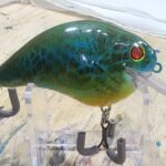 Pumpkinseed S Crank #78