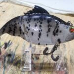 Vitalion crappie #82