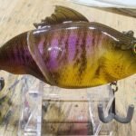 Adult gill vitalion #84