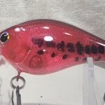 Transparent red silent square bill #88