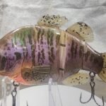 Rubber fin adult gill. #94