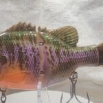 Bluegill glider. #96