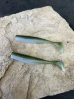 Baby Bass 3.75" - Image 3