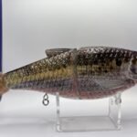 TYG Silencer Glide Bait - Merica Shad